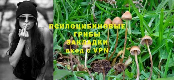 ALPHA PVP Нея