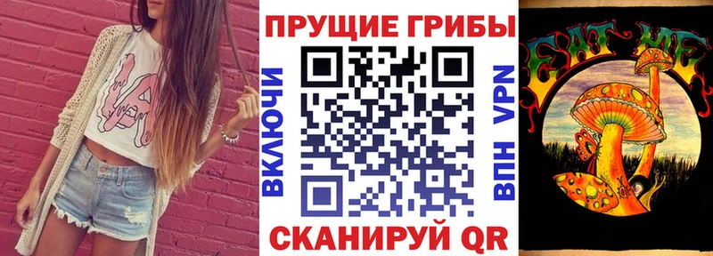 Купить Чудово Псилоцибиновые грибы Psilocybe